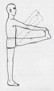 ASTRO YOGA TIPS NOVEMBRE