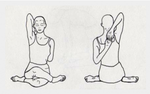 ASTRO YOGA TIPS NOVEMBRE