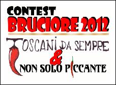 contest bruciore banner