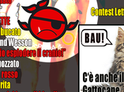 “Vasco Rossi, culo Belen gattocane!”: contest letterario