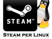 Partita beta Steam Linux giochi