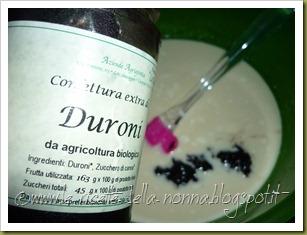 Yogurt gelato con confettura extra di duroni e zucchero di canna (4)