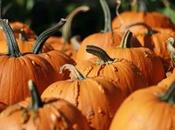 Tagliatelle with pumpkin: recipe