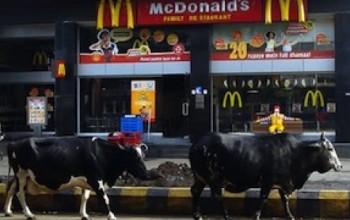 McDonald’s Vegetariano.