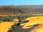 Mauritania Nuovi alberi "cintura verde"