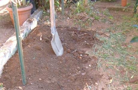 I LAVORI NELL’ORTO DI NOVEMBRE. COMPOSTAGGIO. PACCIAMATURA.  COSTRUIRE UN TUNNEL PLASTICO