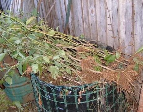 I LAVORI NELL’ORTO DI NOVEMBRE. COMPOSTAGGIO. PACCIAMATURA.  COSTRUIRE UN TUNNEL PLASTICO