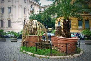 IL MAGNIFICO GHETTO DI ROMA RIDOTTO A TERRA DI NESSUNO: TRA SOSTA SELVATICA E INCURIA, CONATI DI VOMITO A NON FINIRE