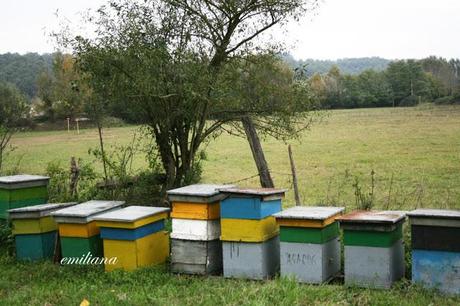 Autunno in Valdarno