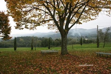 Autunno in Valdarno