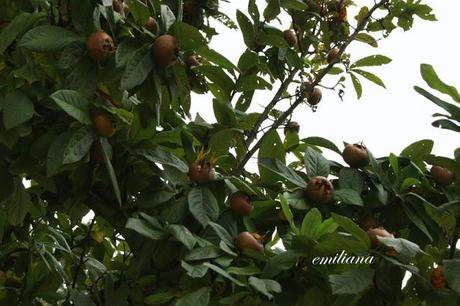 Autunno in Valdarno