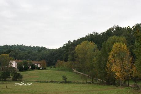 Autunno in Valdarno