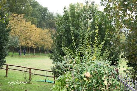 Autunno in Valdarno