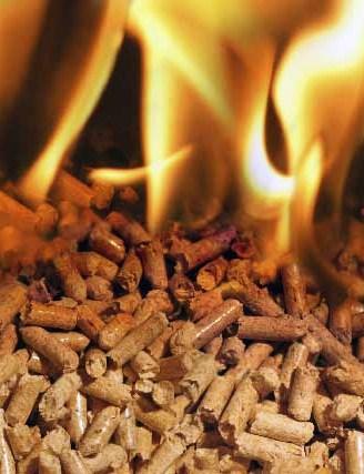 Stufe a Pellet – Analisi del combustibile