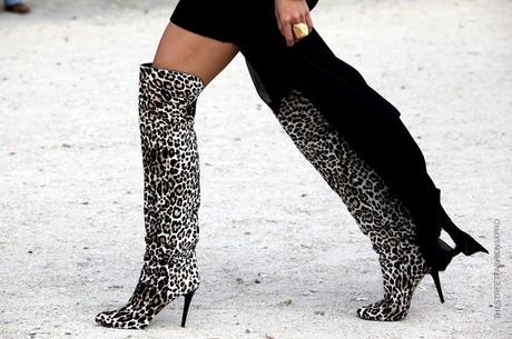 In the Street...The Leopard is back in Town...Milan & Paris