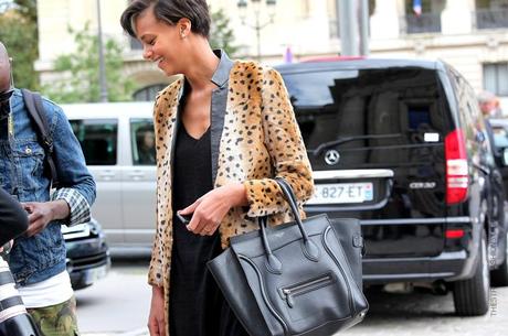 In the Street...The Leopard is back in Town...Milan & Paris