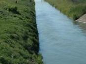 Democrazia agraria, un’utopia anche Trentino