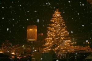 Bolzano uno speciale Mercatino di Natale. Special Guest 2012: mostra del Guercino