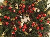 Natale Ecco come abbellire nostra casa