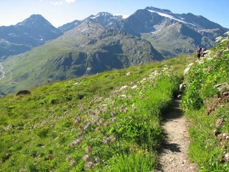 Parco Nazionale del Gran Paradiso