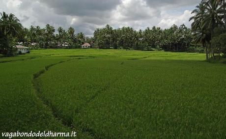 Minangkabau land