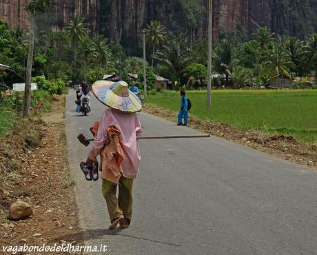 Minangkabau land