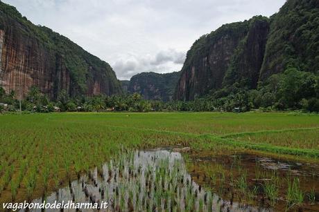 Minangkabau land