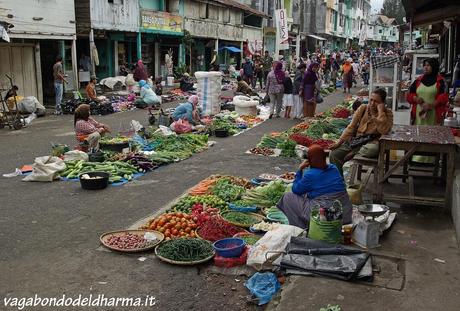 takengon,sumatra