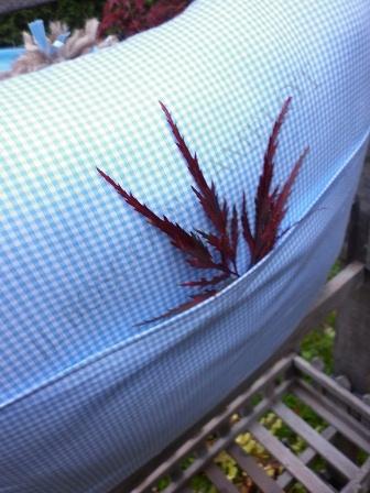 FIOCCO NASCITA ORSETTOSO  E IL MIO GIARDINO