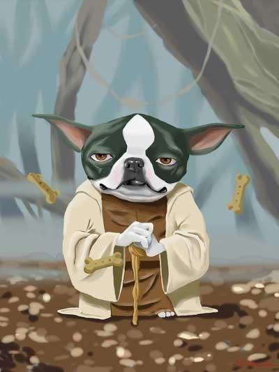 Star Wars Dogs