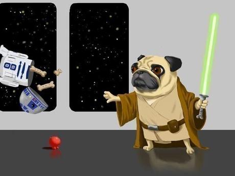 Star Wars Dogs