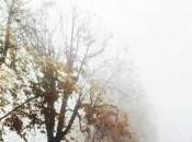 Stefano Visonà presenta alla Feltrinelli Mantova