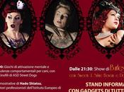 Burlesque Animali, Firenze!