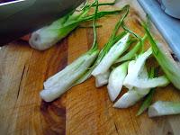 Tortiglioni con puntarelle e burrata