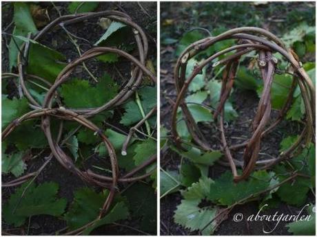 autunno di ramaglie, intrecci di vite.