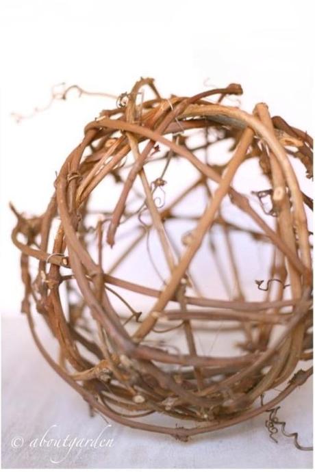 autunno di ramaglie, intrecci di vite.