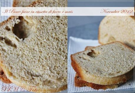 Il pane in cassetta di farro e mais