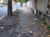 Ancora ramazzini: cassonetti cartelloni-roulotte fanno vomitare? avete ancora visto marciapiedi...