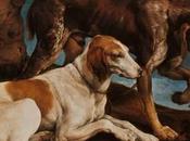 L’intelligenza animale