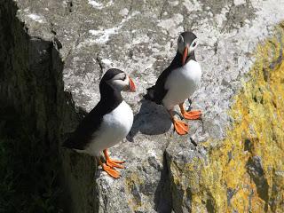 LUOGHI DA NON PERDERE ... SKELLIGS ISLANDS ...