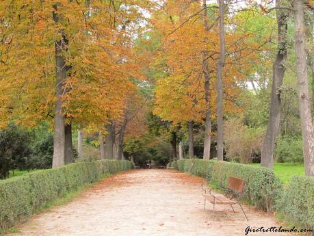 Mini guida per trottolare a Madrid: il parco del Retiro e la super paella di Nacho!!