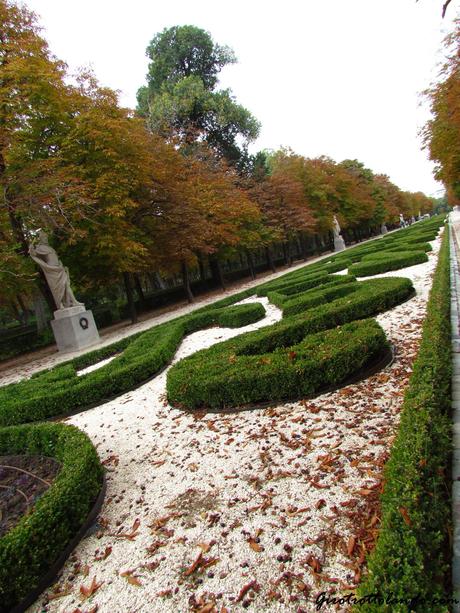 Mini guida per trottolare a Madrid: il parco del Retiro e la super paella di Nacho!!