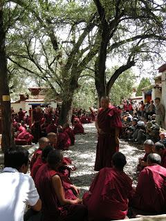 La Trasmigrazione e il tulku a Venezia