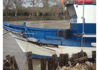 La Maremma in ginocchio. Un fiume in piena distrugge il porto canale della Marina di Montalto di Castro