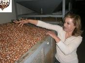 gusto particolare piccoli piaceri come tuffare mano nelle nocciole…