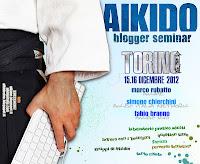 Aikido Blogger Seminar