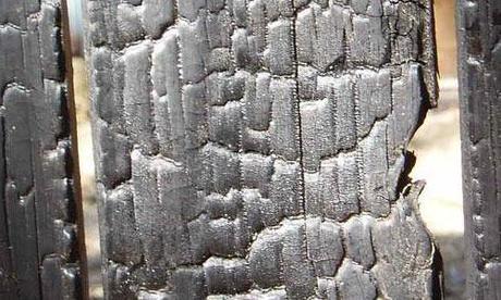 texture legno bruciato