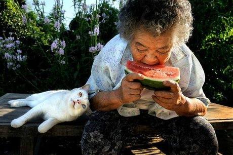 cute, sweet, cool, cat, funny cats, best friends, pets, Heartwarming: Old Lady Misa and Her Cat Best Friend Fukumaru