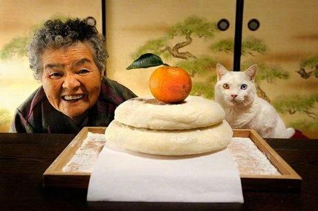 cute, sweet, cool, cat, funny cats, best friends, pets, Heartwarming: Old Lady Misa and Her Cat Best Friend Fukumaru