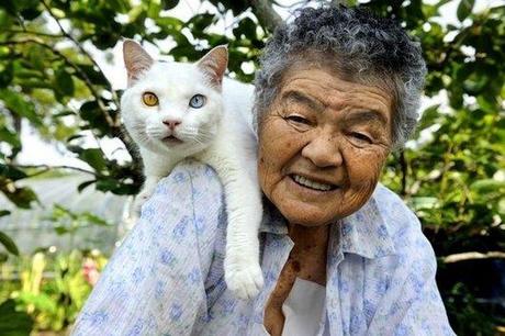 cute, sweet, cool, cat, funny cats, best friends, pets, Heartwarming: Old Lady Misa and Her Cat Best Friend Fukumaru